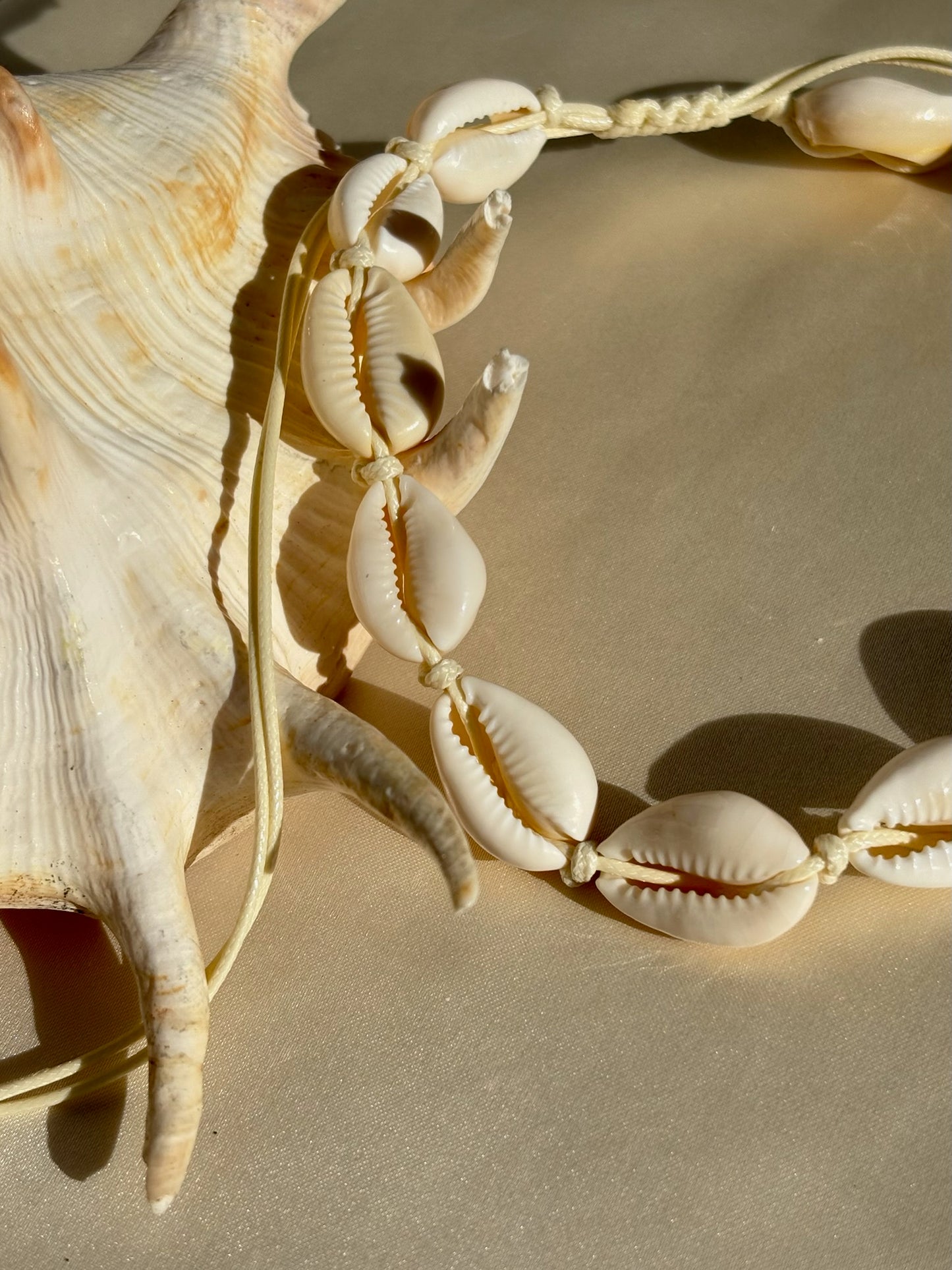 Island shell choker