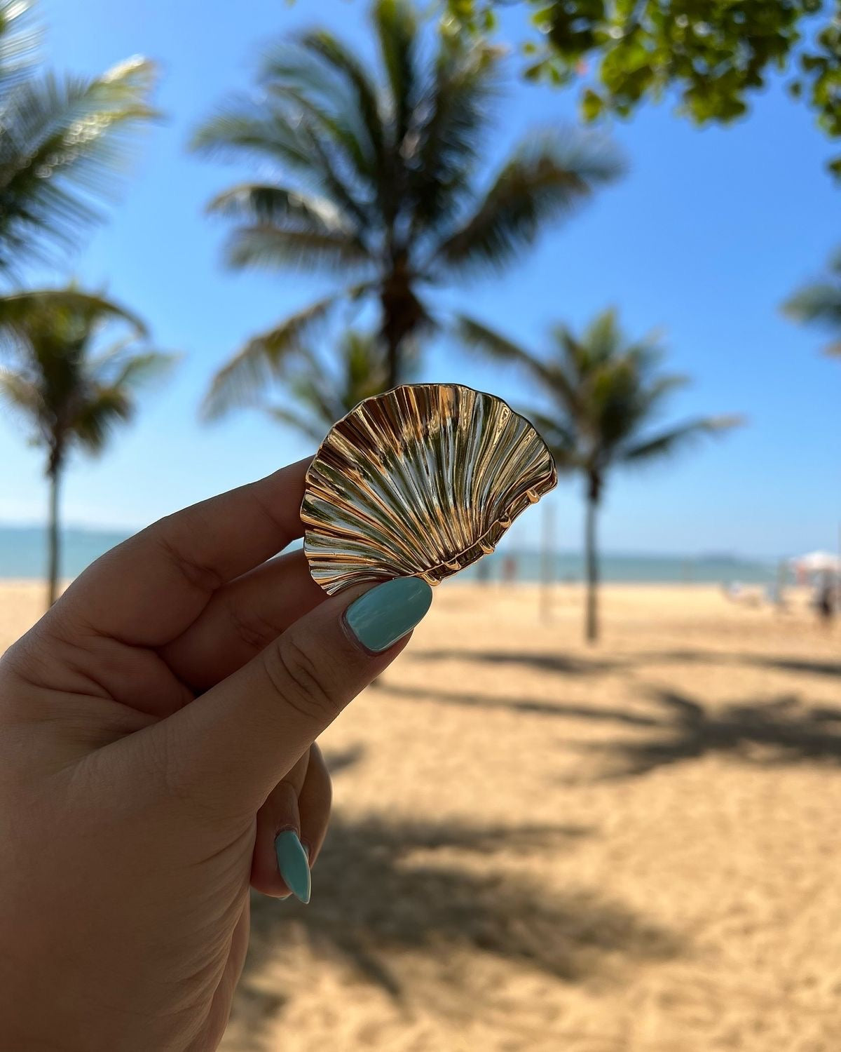 Shell hair clip