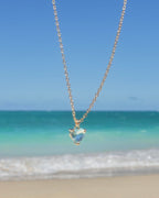 Over ¥12,000 Novelty