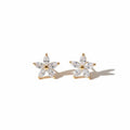 Plumeria studs