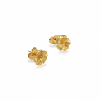 Aloalo studs pierce
