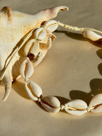 Island shell choker