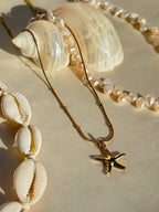 Starfish necklace