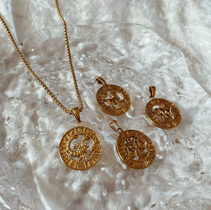 Sign coin necklace